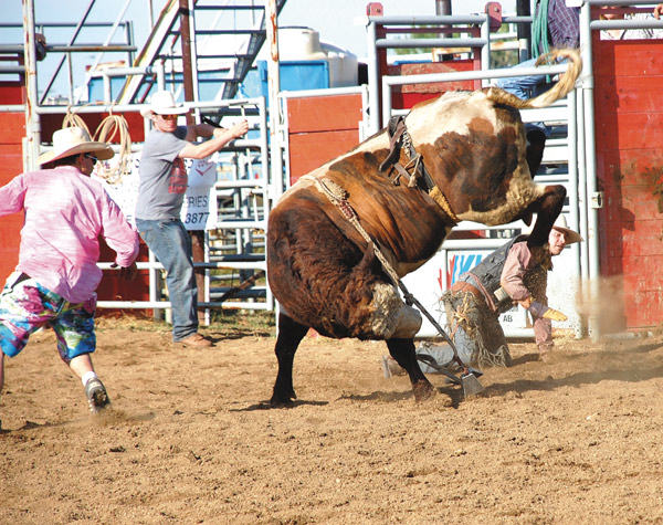 Rodeo+Bucking+Bulls ... Rodeo Bucking Bull http://www.sithtech.net/photographyzto/Rodeo-Bulls
