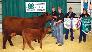 4H-Supreme-Champ-female-Jun-5-12