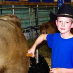 FLAGSTAFF 4-H Steer show and sale a big success