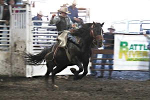 Rodeo-bronc-2012