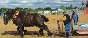 Se-RR-Heavy-horse-pull-Aug-28-12