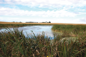 Drought-workshop-cover-Sep-4-12