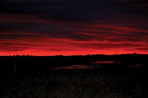 bloodred-sunset-colour-only-Spet-25-12