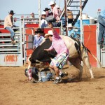 Roughstock Rodeo brings battle between talented cowboys and great stock to Sedgewick