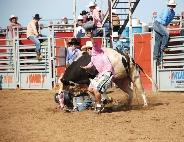 Bull-riding-1-2013