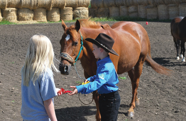 Ki-Light-Horse-4-H-Keegan-red-ribbon-WP-Jun-24-14