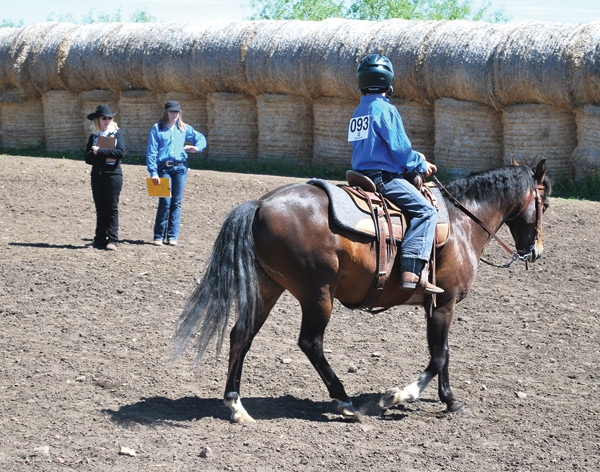 Ki-Light-Horse-Keegan-Judge-and-Ringmaster-Jun-24-14