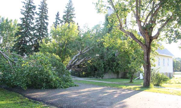 strome-storm-3-Aug-15-14