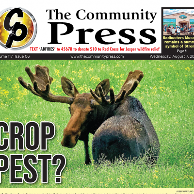 Buy the August 7 CP here: