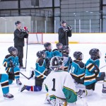 Tryouts held last weekend by Battle River Knights