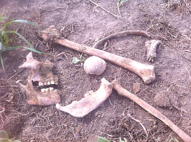 Brian-Rozmahel-bones-found