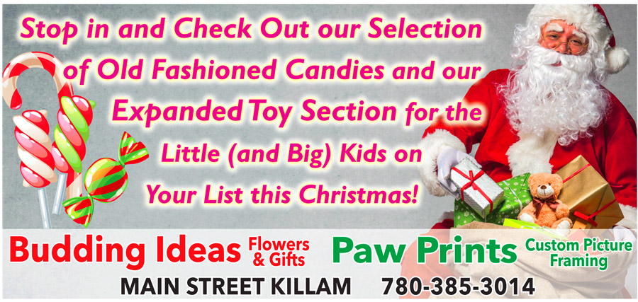 Budding Ideas Flowers Gifts Paw Prints Framing Killam Alberta. Old Fashioned Candies, Toy Selection.