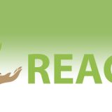 A new year, a new business in your future with the REACH program