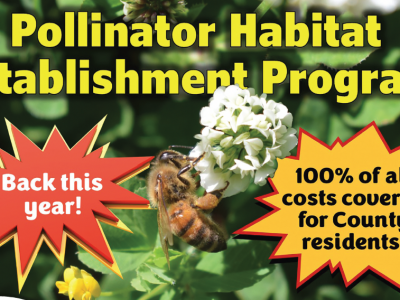 Flagstaff County Pollinator Habitat Establishment Program