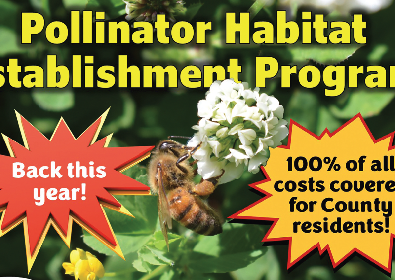 Flagstaff County Pollinator Habitat Establishment Program