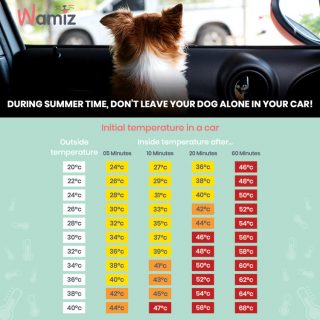 car-Temperature-chart - The Community Press