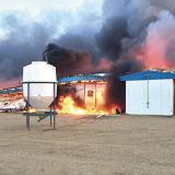 ICYMI: devastating early morning fire rips through pig barn, killing 2,000 animals