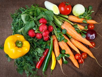 Fall Vegetables Are Ready - Near Sedgewick, AB