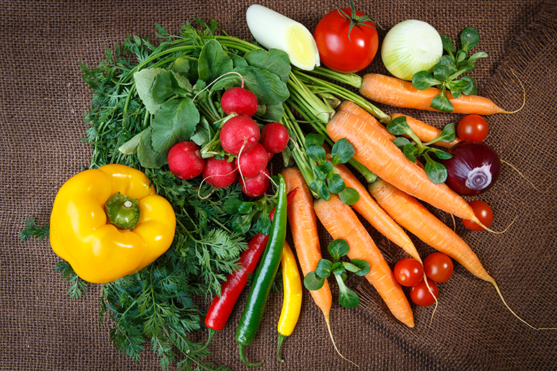 Fall Vegetables Are Ready - Near Sedgewick, AB